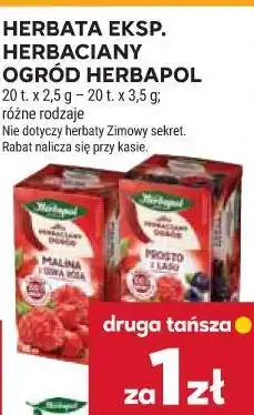 Stokrotka Herbata eksp. herbaciany Ogród Herbapol oferta