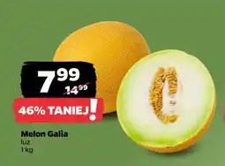 Netto Melon Galia oferta