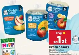 Stokrotka DESER GERBER oferta