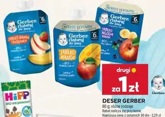 Stokrotka DESER GERBER oferta