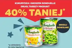 Netto Kukurydza i groszek Bonduelle oferta