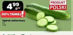 Netto Ogórek szklarniowy oferta