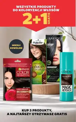Netto WSZYSTKIE PRODUKTY DO KOLORYZACJI WŁOSÓW oferta