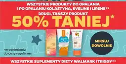 Netto Wszystkie produkty do opalania i po opalaniu Kolastyna, Eveline i Lirene oferta