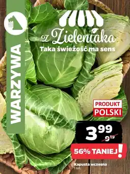 Netto Kapusta wczesna oferta