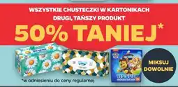Netto Wszystkie chusteczki w kartonikach oferta