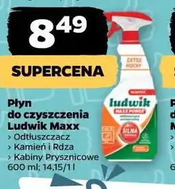 Netto Płyn do czyszczenia Ludwik Maxx oferta