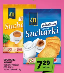 Groszek Mamut Sucharki oferta