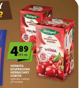 Groszek Herbapol Herbata ekspresowa Herbaciany Ogród oferta