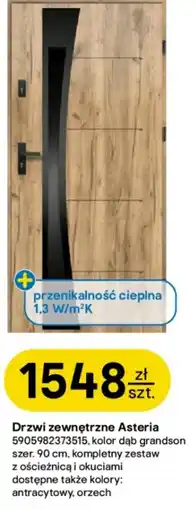 Castorama Drzwi zewnętrzne Asteria oferta