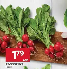 Stokrotka Market Rzodkiewka oferta