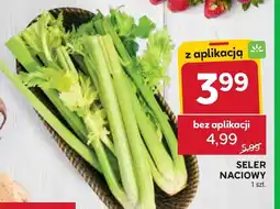 Stokrotka Market Seler naciowy oferta