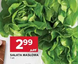 Stokrotka Market Sałata masłowa oferta
