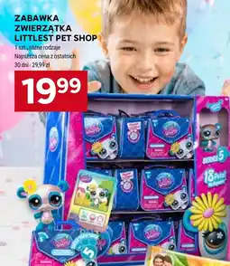 Stokrotka Market Littlest Pet Shop Zabawka Zwierzątka oferta