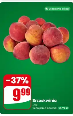 Dino Brzoskwinia oferta