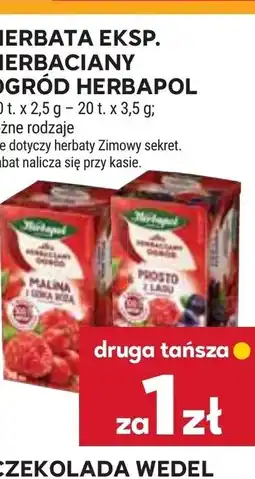 Stokrotka Market Herbapol Herbata ekspresowa Herbaciany Ogród oferta
