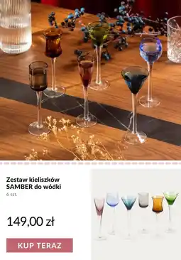 Homla Zestaw kieliszków samber do wódki oferta