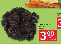 Selgros Sałata Lollo Rosso oferta