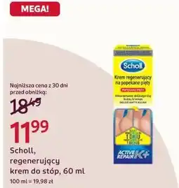 Rossmann Scholl, regenerujący krem do stóp oferta