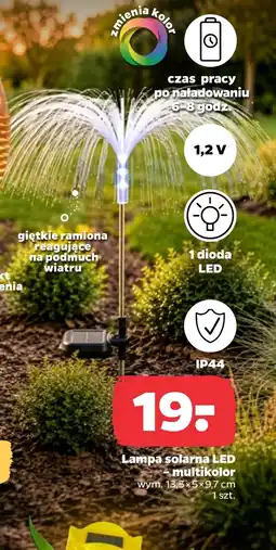 Netto Lampa solarna oferta