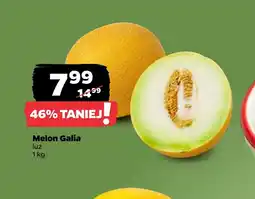 Netto Melon oferta