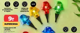 Netto Lampka solarna oferta