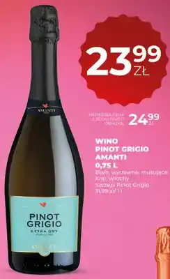 Duży Ben Wino Pinot Grigio Amanti białe wytrawne musujące oferta