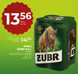Duży Ben Piwo Żubr 4-pak oferta