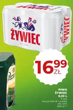 Duży Ben Piwo Żywiec Premium 6-pak oferta