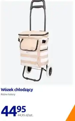 Action Wózek chłodzący oferta