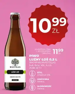 Duży Ben Piwo Luźny Łoś American IPA 6,4% oferta