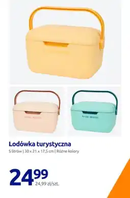 Action Lodówka turystyczna Arctic Breeze 5l 30x21x17,5cm oferta