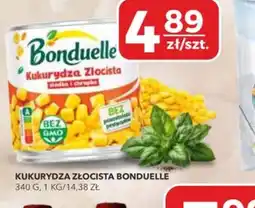 Top Market PSS Zgoda Bonduelle Kukurydza Złocista oferta