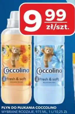 Top Market PSS Zgoda Coccolino Płyn do płukania oferta