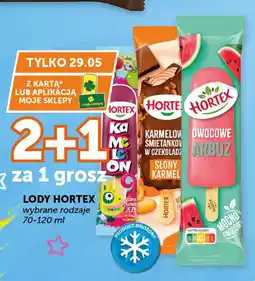 ABC Hortex Lody oferta
