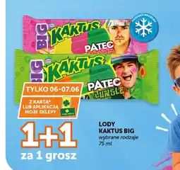 ABC Kaktus Lody Big oferta