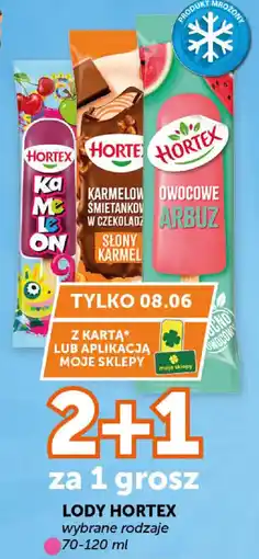 ABC Hortex Lody oferta