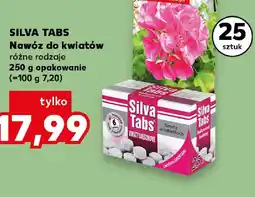 Kaufland Silva tabs Nawóz do kwiatów oferta