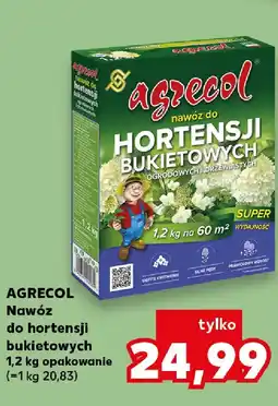 Kaufland Agrecol Nawóz do hortensji bukietowych oferta