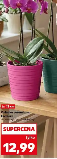Kaufland Escalera Osłonka ceramiczna oferta