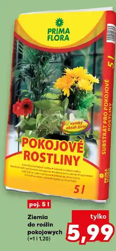 Kaufland Prima Flora Ziemia do roślin pokojowych oferta