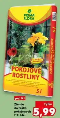 Kaufland Ziemia do roślin pokojowych oferta