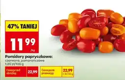 Biedronka Pomidory papryczkowe oferta