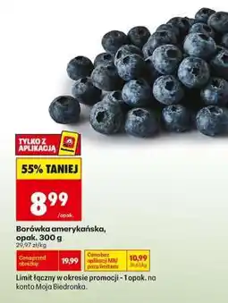 Biedronka Borówka amerykańska opak 300 g oferta