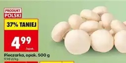 Biedronka Pieczarka opak 500 g oferta