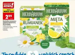 Biedronka Herbatka owocowo-ziołowa Herbarium, 20 torebek oferta