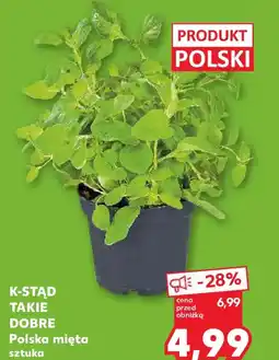 Kaufland K-Stąd Takie Dobre Polska mięta oferta