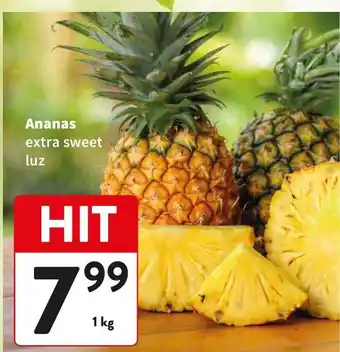Ananas extra sweet luz