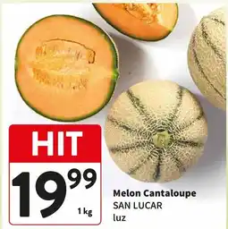 Intermarche Melon Cantaloupe SAN LUCAR luz oferta