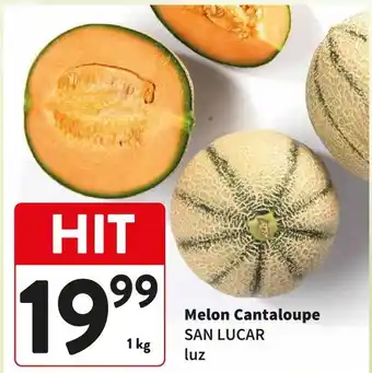 Melon Cantaloupe SAN LUCAR luz